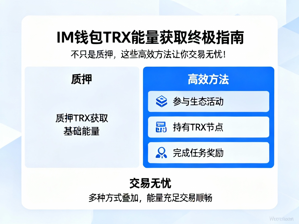 IM钱包TRX能量获取终极指南，不只是质押，这些高效方法让你交易无忧！