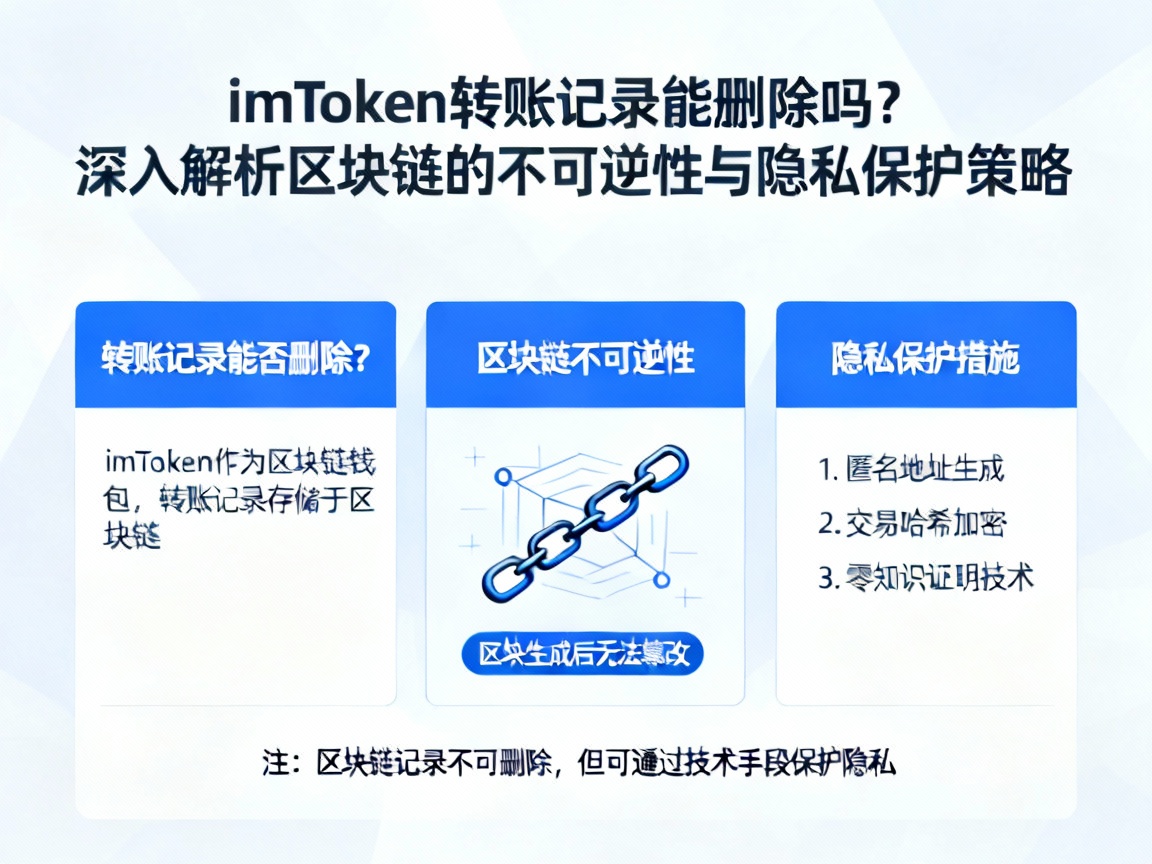 imToken转账记录能删除吗？深入解析区块链的不可逆性与隐私保护策略