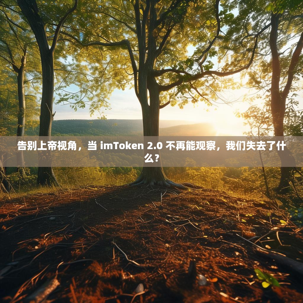 告别上帝视角，当 imToken 2.0 不再能观察，我们失去了什么？