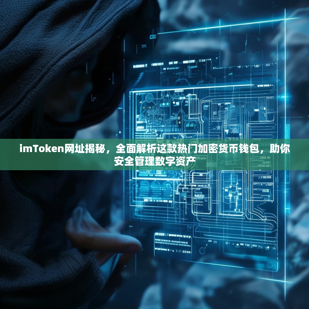 imToken网址揭秘，全面解析这款热门加密货币钱包，助你安全管理数字资产